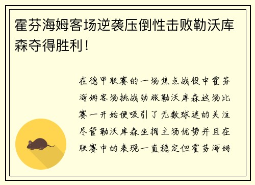 霍芬海姆客场逆袭压倒性击败勒沃库森夺得胜利！